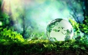 sustainability and its significance